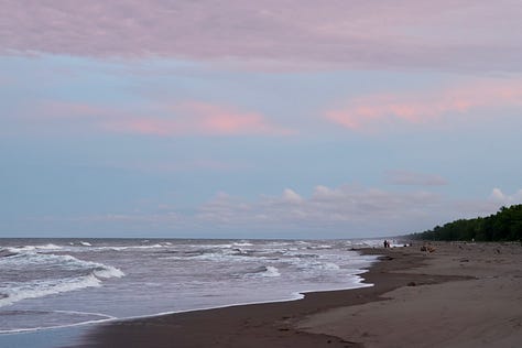 Top left an olive backed bird with yellow chest sits on a branch with heavy vegetation in the background. Top middle - a Great Green Macaw in flight with wings outspread agains a blue sky and amongst high vegetation. Top right. A black sand beach at sunset. The sky is pale pink and this is reflected in the breaking waves. The beach stretches into the distance. There are small figures about half way along the beach. Middle left - two people turn to each other and chat. They are seated at the front of a boat with a rain splashed window in front of them and twin Costa Rican flags in displayed in front of the captain. Both figures are shadowed and wearing peak caps. Middle - a close up of a Great Green Macaw on a branch in the middle of a tree. It's beak is wrapped around a twig and it is hanging onto a wider branch but leaning down slightly. Middle right. An emerald basilisk sits on a branch at the side of a river. It is facing towards the vegetation on the bank. Bottom left. A brown alligator slips into murky brown water from the side of a bank. Middle bottom. The author in a red canoe with paddle raised. She is smiling at the camera while on a lagoon with thick jungle vegetation in the background. Bottom right. Black sand beach with low clouds overhead. There are multiple small turtle tracks leading across the wide sand beach towards the water and a turtle body pit in the immediate foreground.