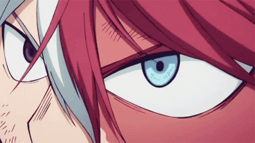 Todoroki Todoroki Shoto GIF