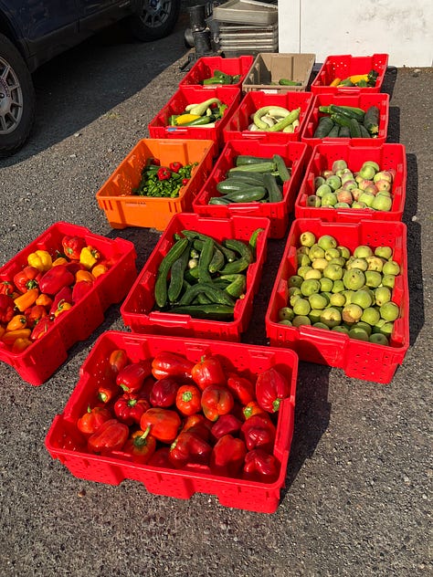 Fruit, vegetables, food bank and gleaning organizations