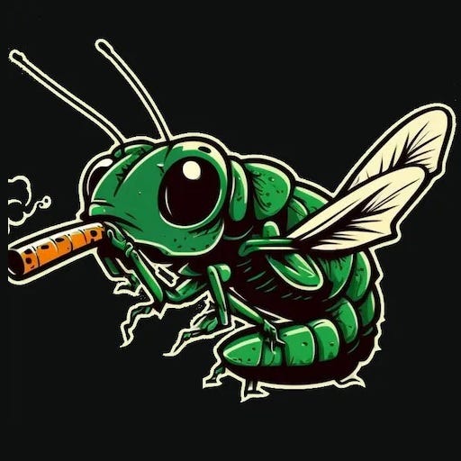 Substack profile picture for @flies