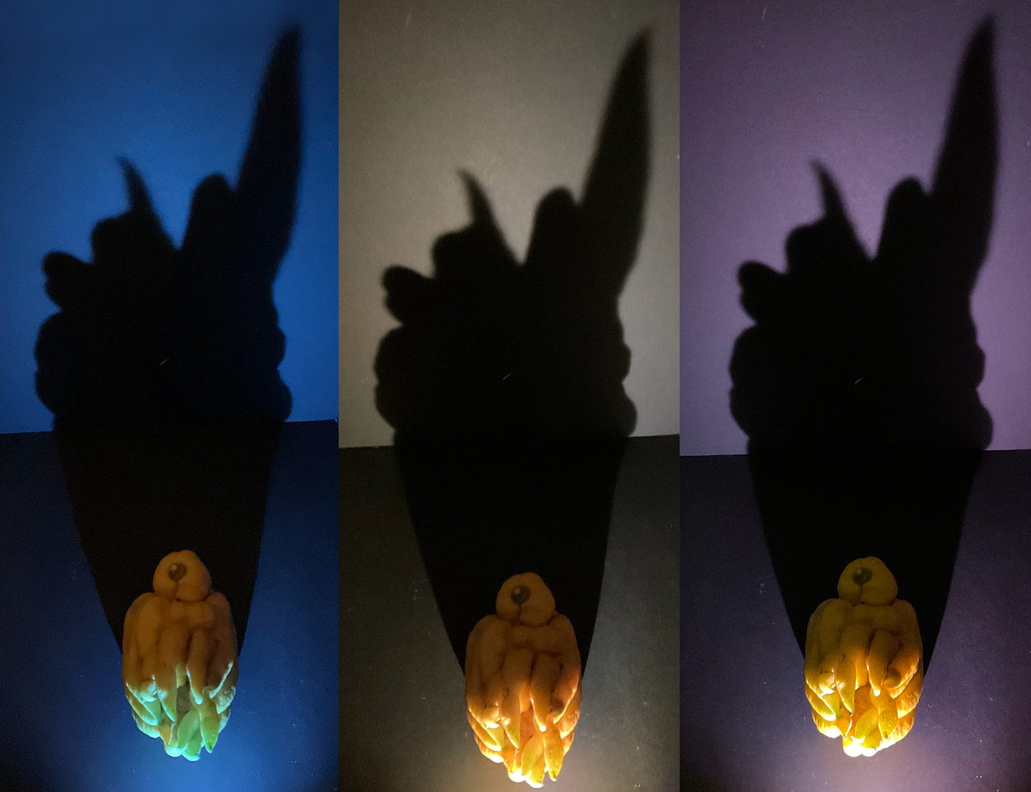 Buddha's hand coloured shadows