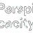 Perspicacity.xyz