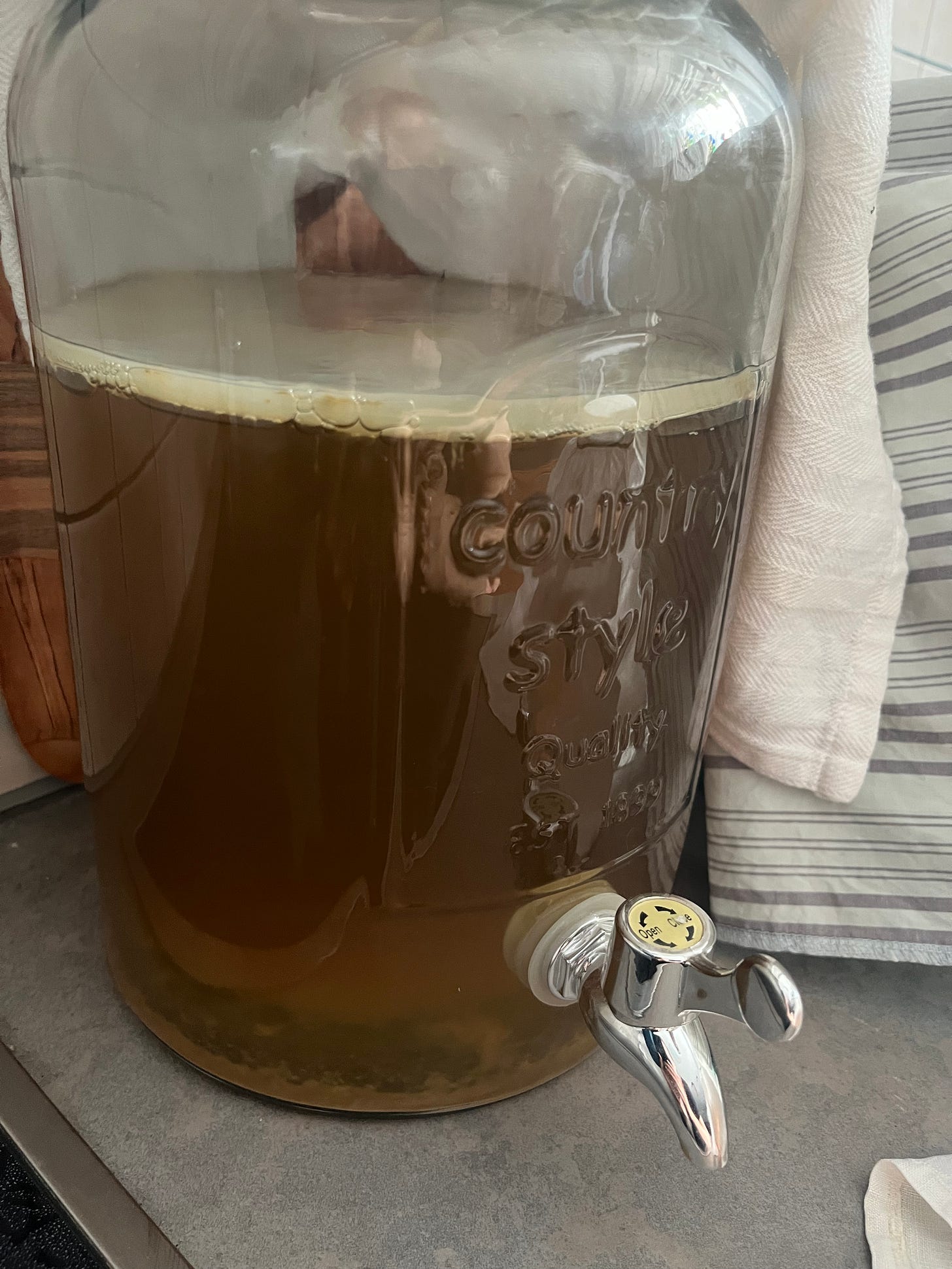 SCOBY mother culture floating in kombucha tea fermentation jar SCOBY mother culture floating in kombucha tea fermentation jar