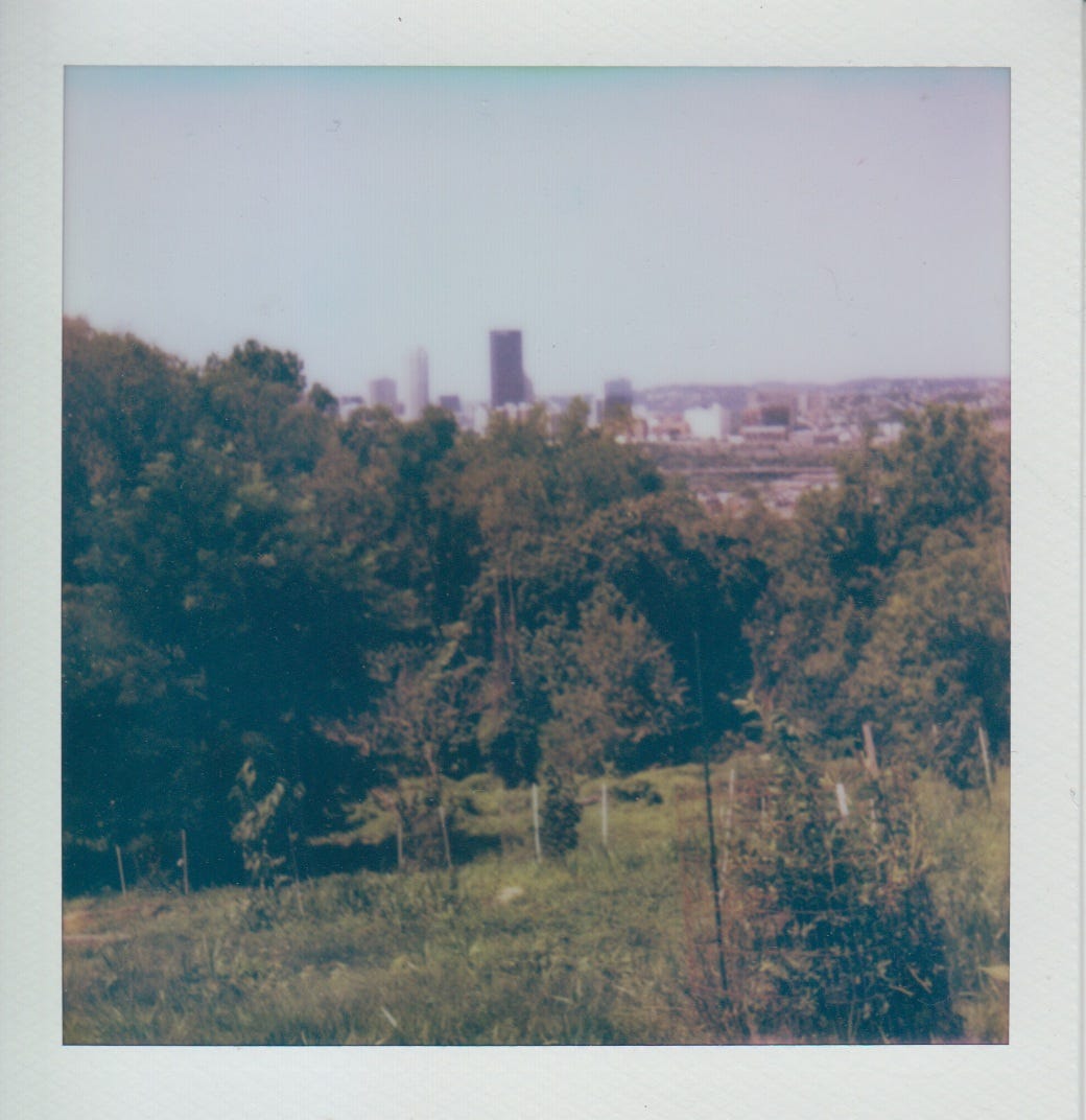 Polaroid of the downtown view from the Sterling Trail at South Side Park.