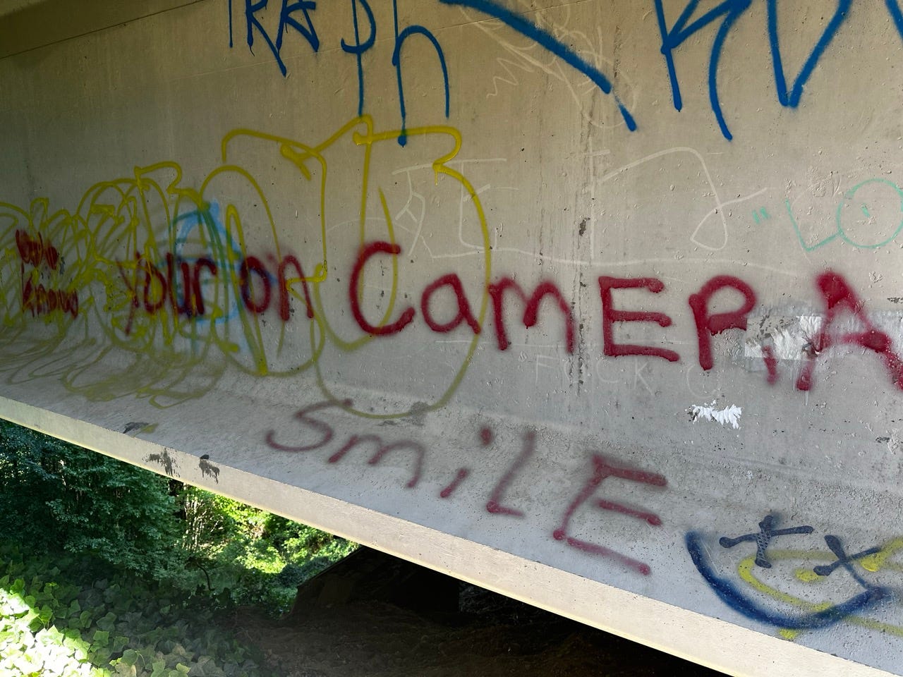 Graffiti on a bridge
Description automatically generated Graffiti on a bridge
Description automatically generated