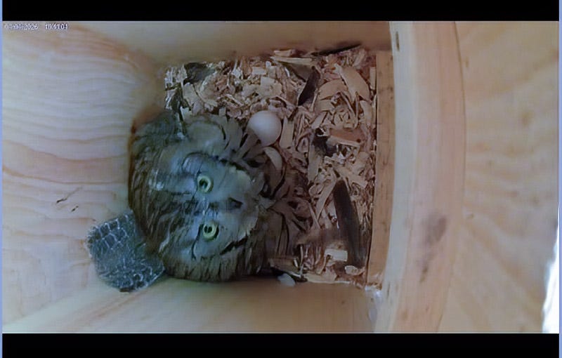 20260406-MBY-Edit-2.jpg 20260406-MBY-Edit-2.jpg