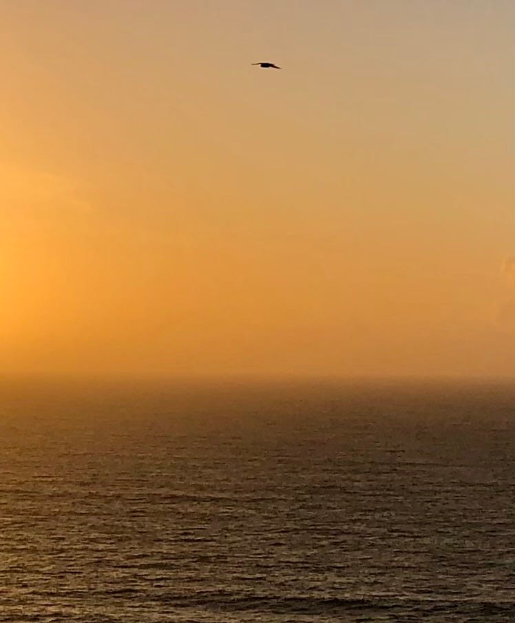 A bird-shaped smudge in a hazy, golden sky above a dark sea.