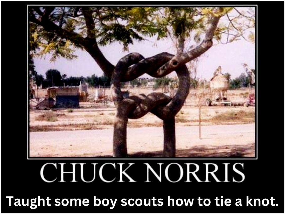 Chuck Norris taught some boy scouts how to tie a knot with two trees