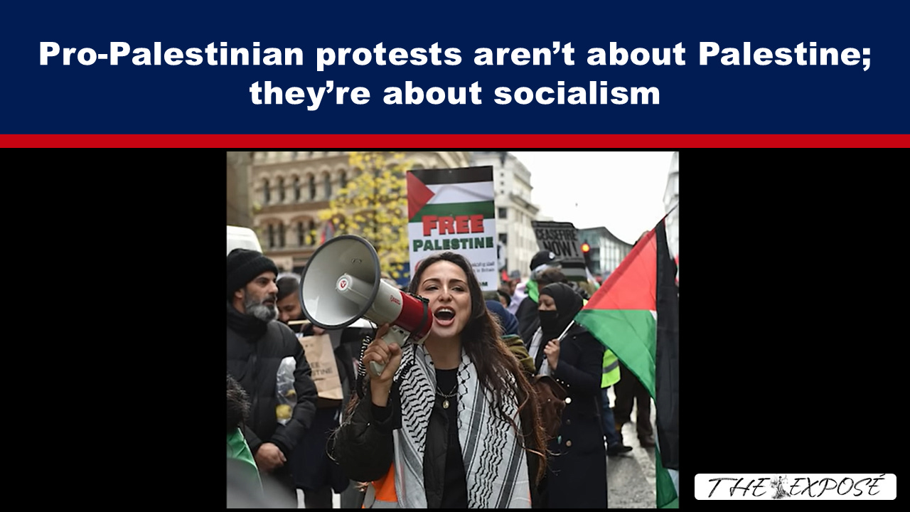 Expose News: Is it about Palestine, or is it about something else? See the Pro-Palestinian protests spark debate on socialism! Shocking scenes unveiled.
