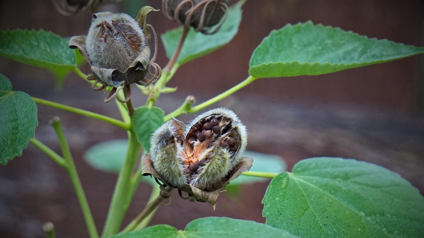 what the dark can teach us