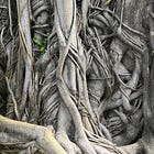 Discover (or Rediscover) Planet Ficus