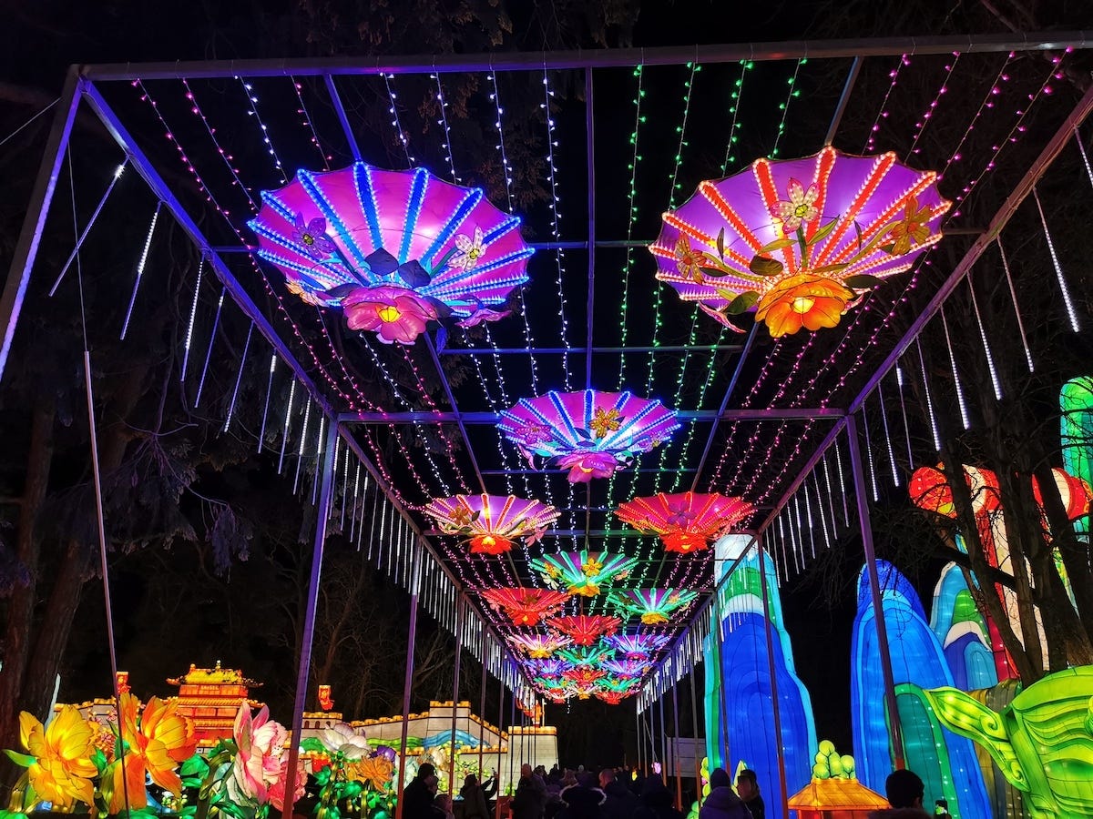 Gaillac Lantern Festival