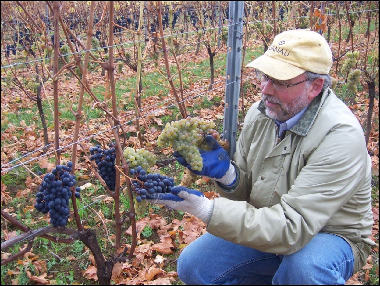 Ernie with his cool climate Syrah and interplanted Viognier. 