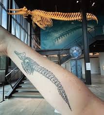 Burke Museum - We can't get over this tattoo 😍 Erika Price works in the  Burke Biology Department and helped clean the Bairds beaked whale hanging  in the Lower Lobby. Have you