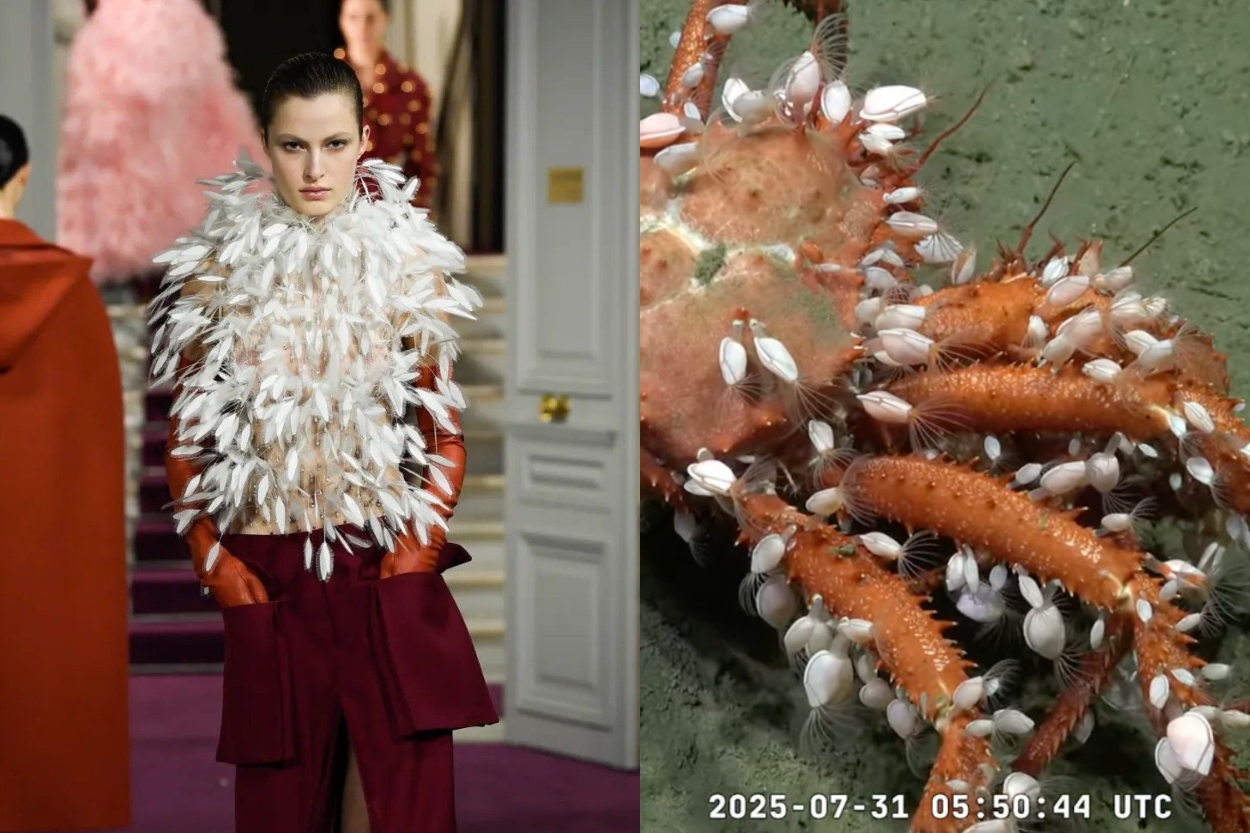 Met Gala 2023 - en vivo: Bad Bunny, Kim Kardashian, Dua Lipa y más llegan a  la alfombra roja - Yahoo Vida y Estilo, image size:4096x2730