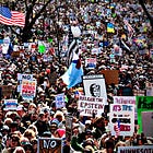 Democratic Voters Have Become More Anti-Elite but Not More Populist
