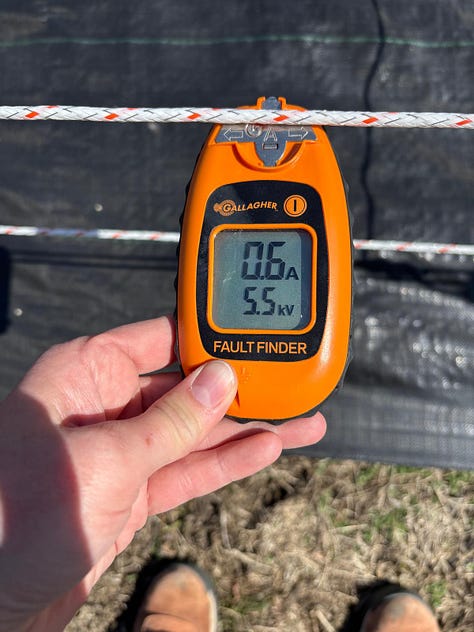 Tester, Warning Signs & Deer Bait