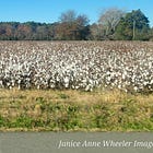 HIGH COTTON