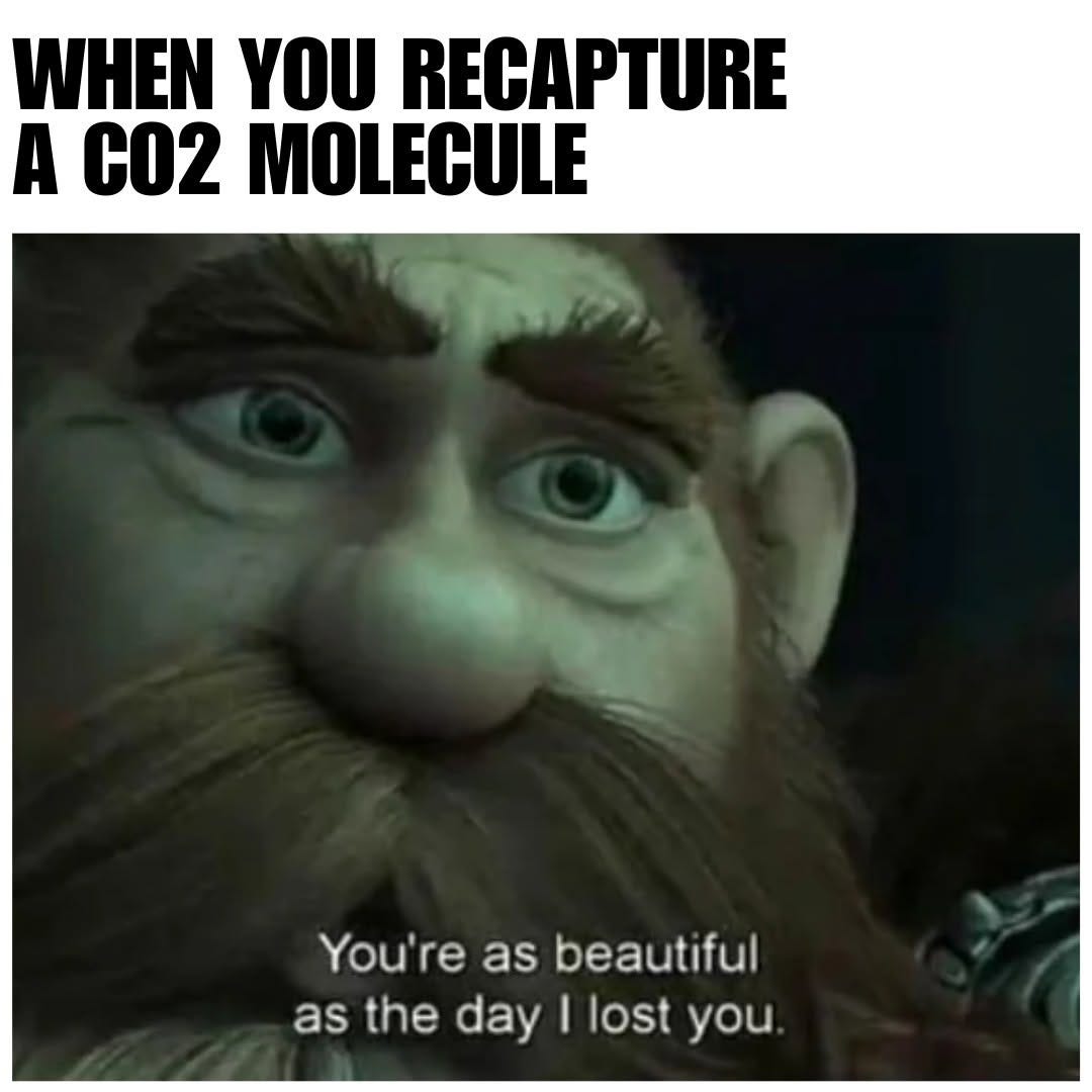 Gimli from The Lord of the Rings gazing tenderly, under the text "When you recapture a CO2 molecule". Subtitle: "You're as beautiful as the day I lost you."
