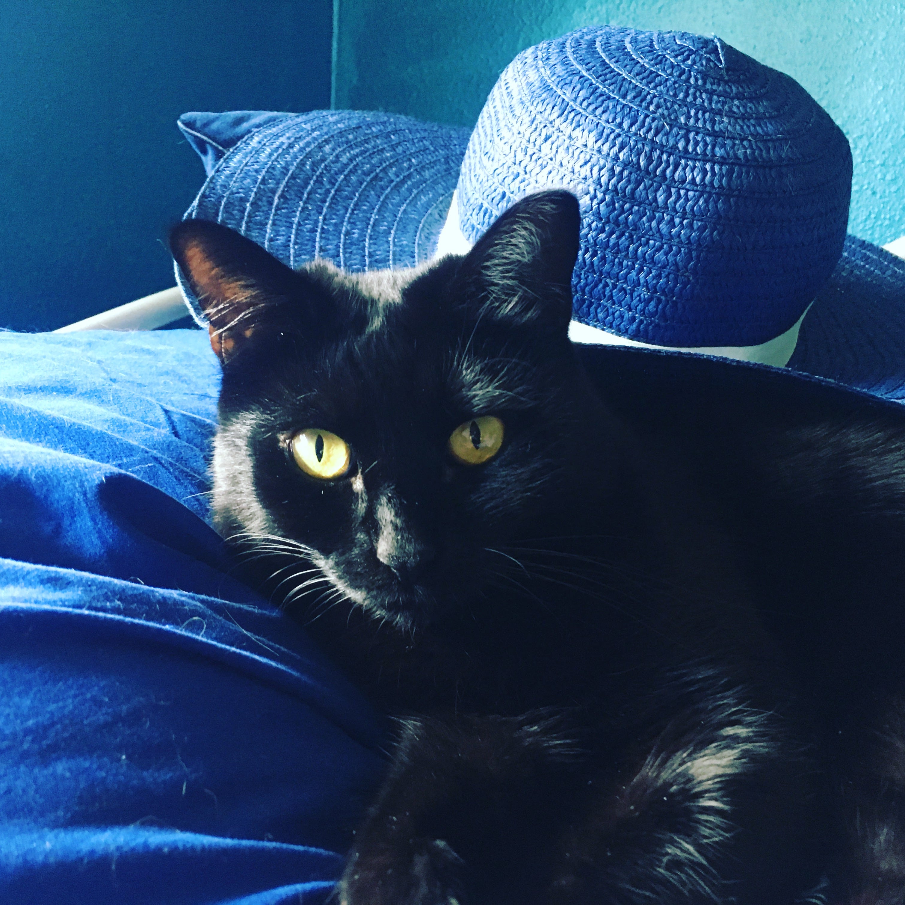 Artwork for Maven’s Substack