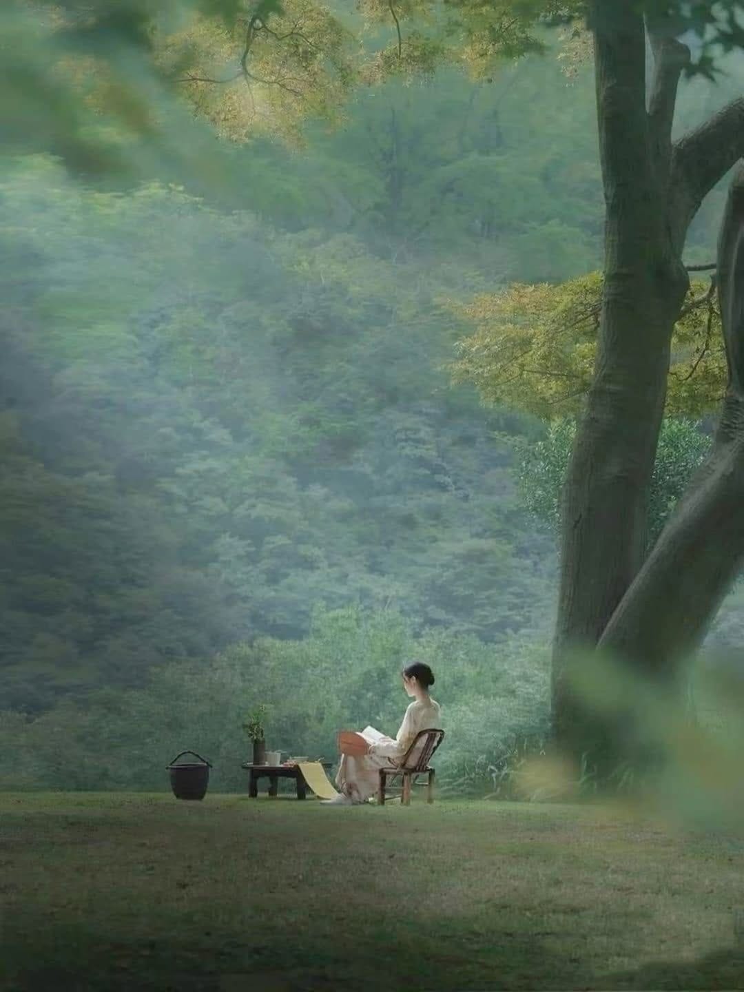 No photo description available.