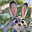 Jessy's avatar