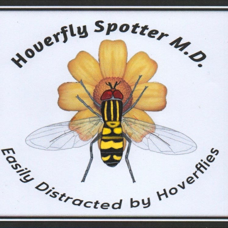 Easily Distracted by Hoverflies