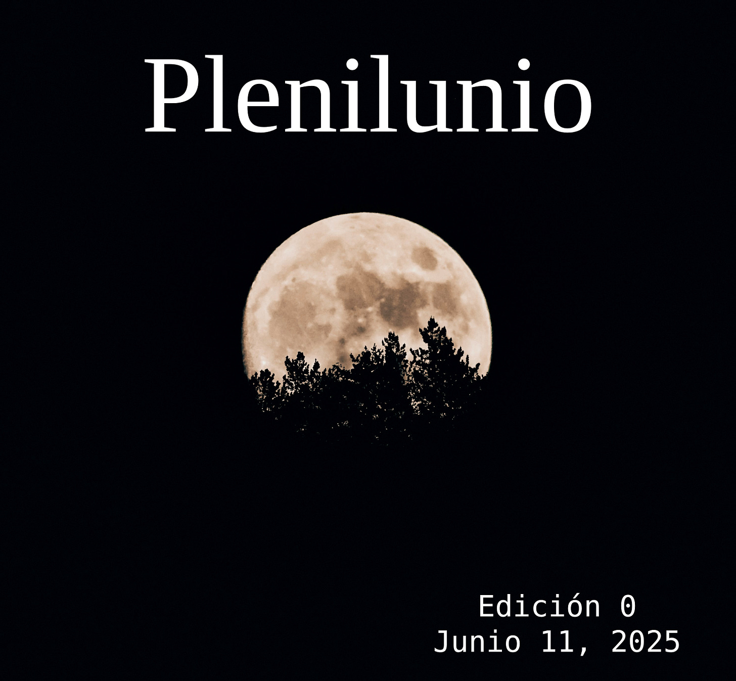 Siluetas de luna llena detrás de un árbol