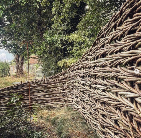 Hazel fence - paul lamb