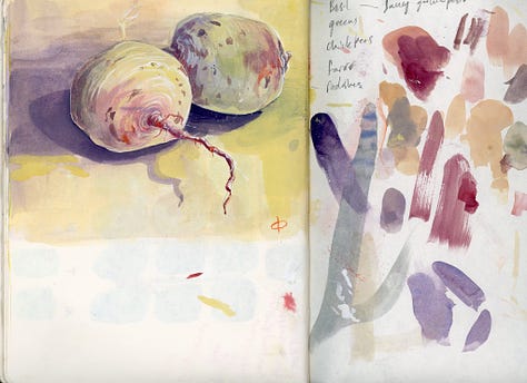 a collection of pages from Claire Donaldson's Sketchbooks