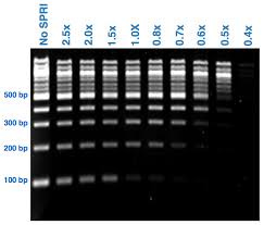 How do SPRI beads work? - Enseqlopedia