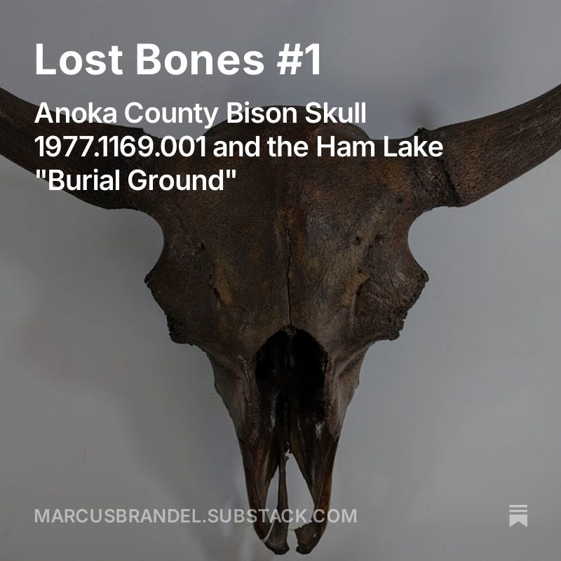 Lost Bones