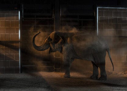 Pictures of the Week Global Photo Gallery Pictures of the Week Global Photo Gallery