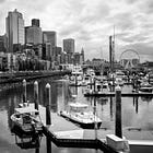 Sunny in Seattle