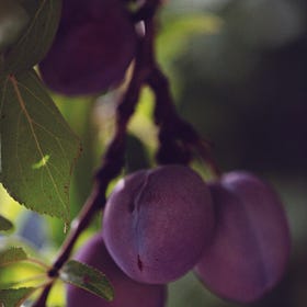 In defense of mindlessness