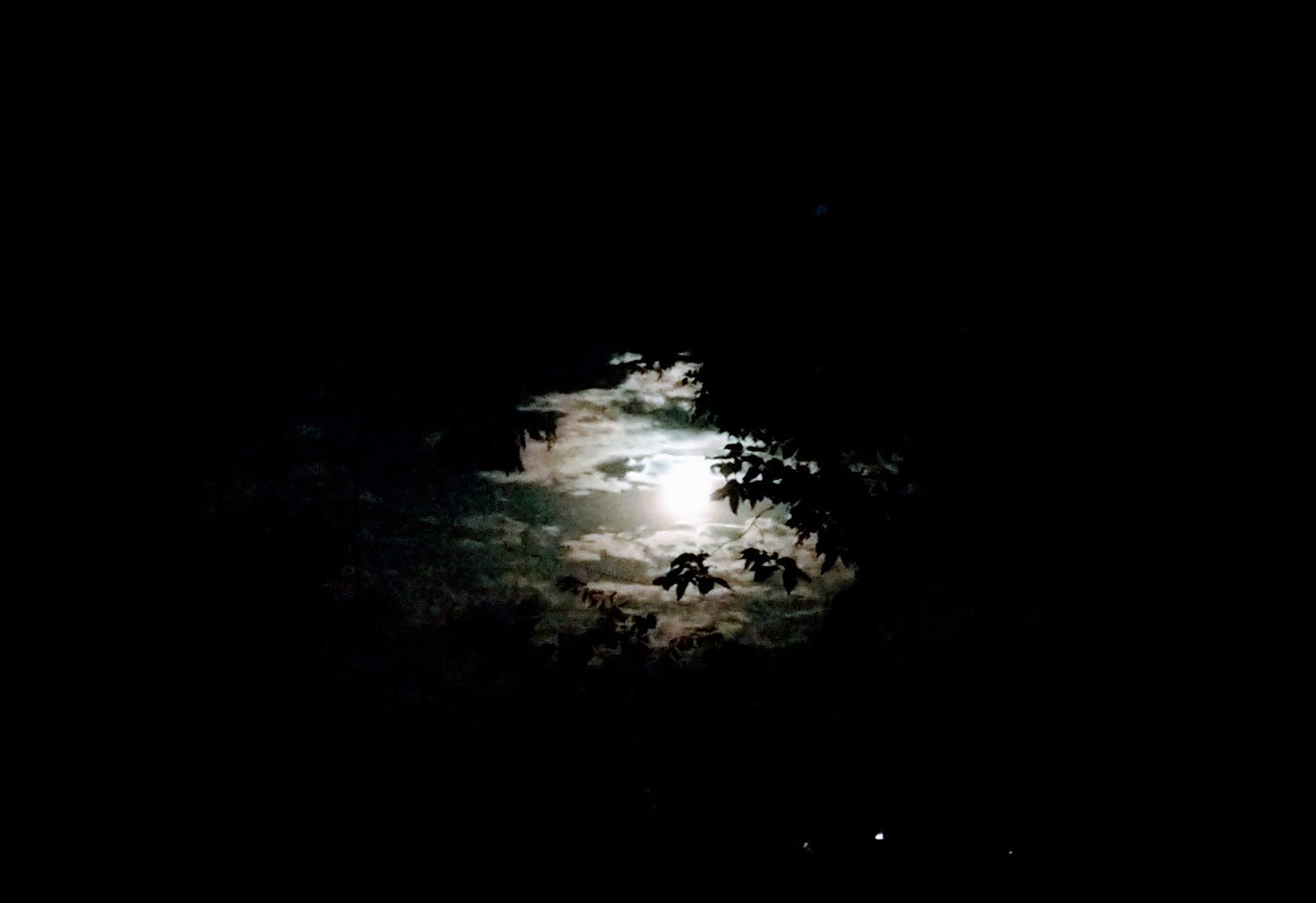 May be an image of twilight