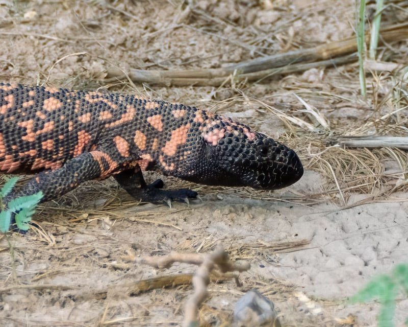 20250906-Manville-128-Edit.jpg 20250906-Manville-128-Edit.jpg