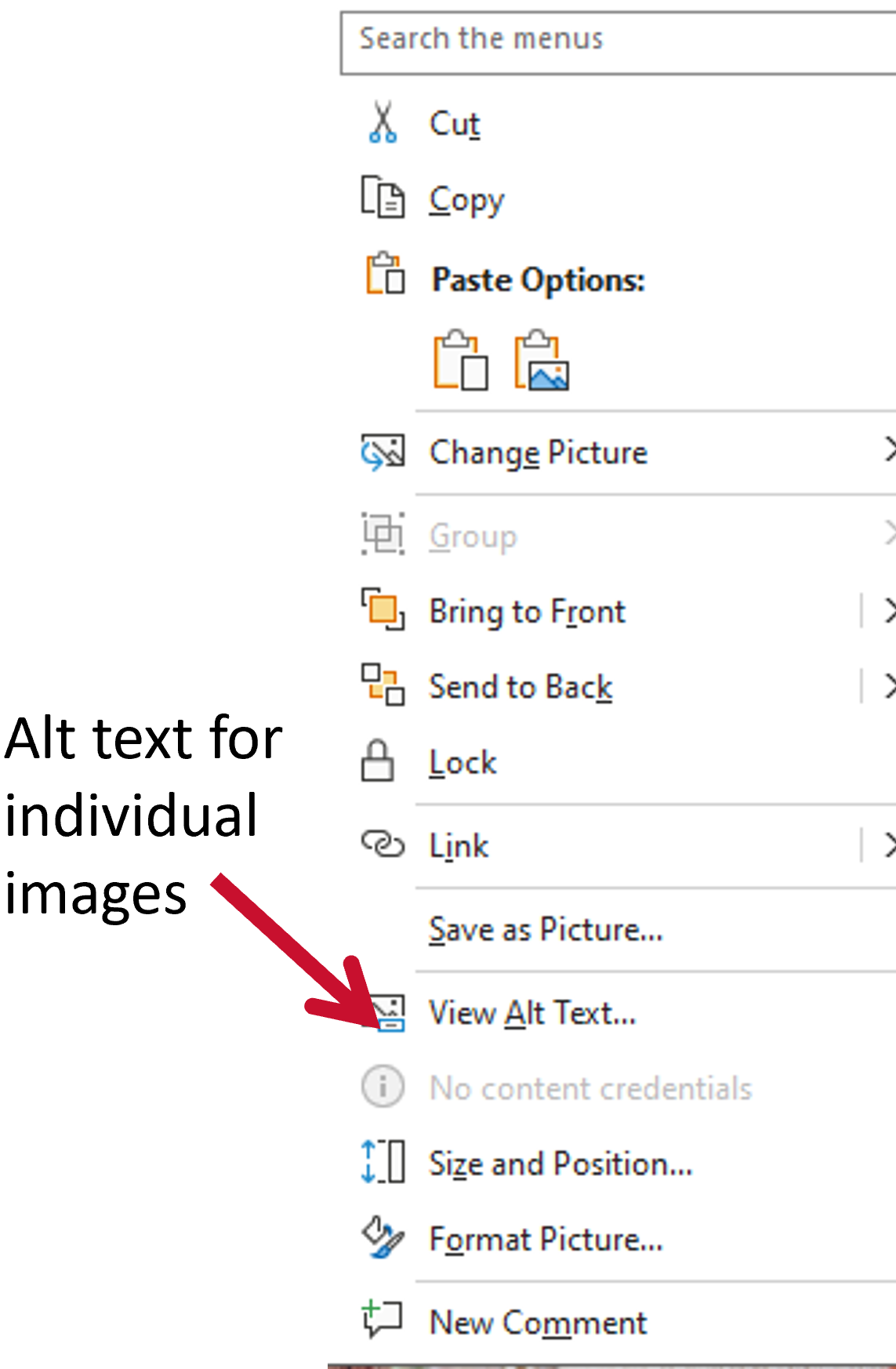 Screenshot of Right-click menu displayed after clicking on an image in Microsoft PowerPoint, with an arrow pointing to the 'View Alt Text' option. This menu includes other options like Cut, Copy, Change Picture, Bring to Front, Send to Back, and Format Picture.