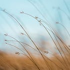 Unstacked: things I did to create more downtime