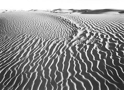 five photos that Kirk Marshall took. 1. B&W rolling sand dunes. 2. two metal dinosaur sculptures in a mock fight against a dark desert night. 3. B&W cactus along a road with the shadow of one across the road. 4. B&W an old destroyed tyre showing the decayed side walls while still attached to a rusted bumper. 5. A metal dragon sculpture created to look like it’s underneath the surface of the earth. A bright blue sky and some low lying hazy hills in the background.
