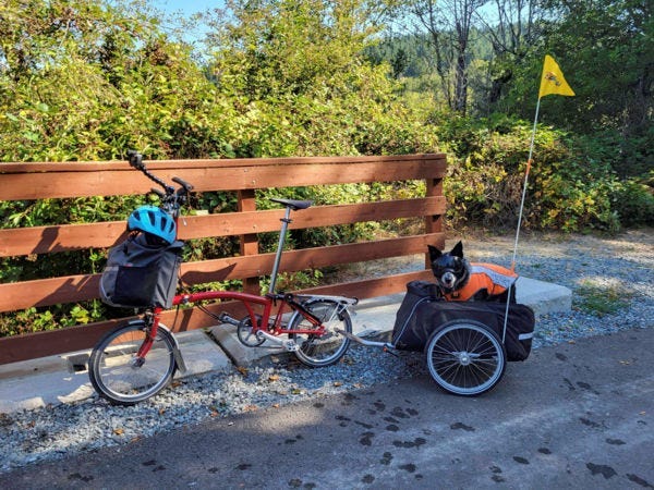 A bicycle with a dog in a cart