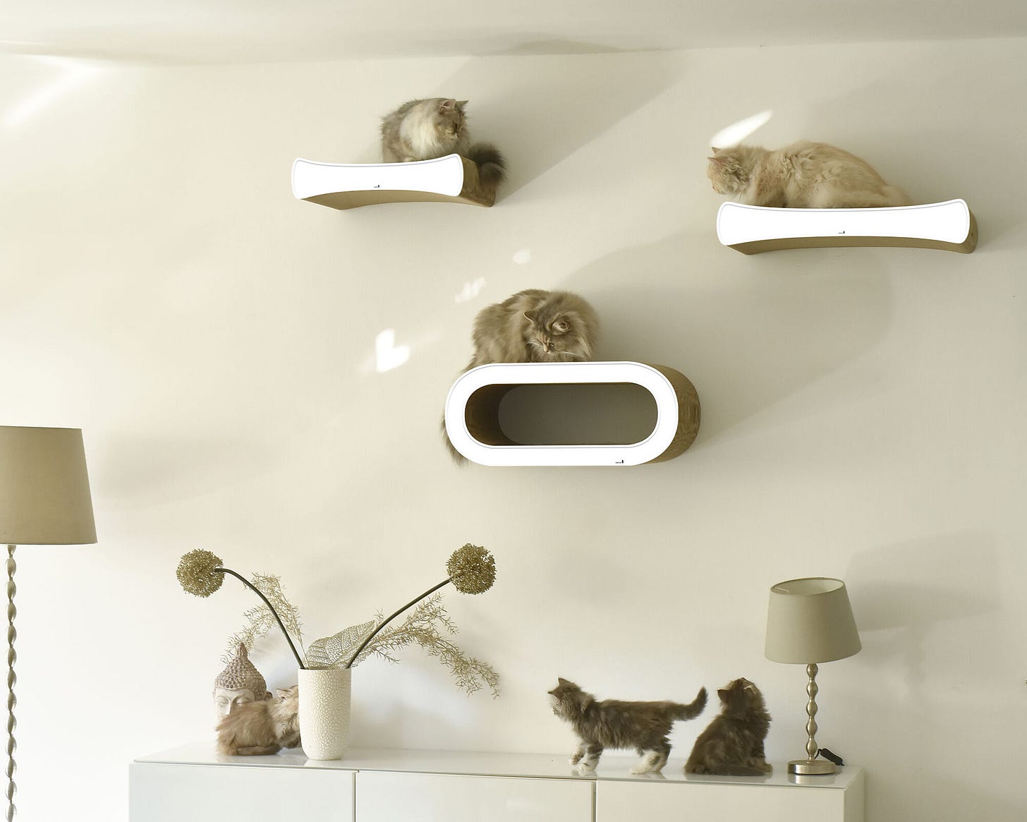 LE PLATEAU L cat shelf