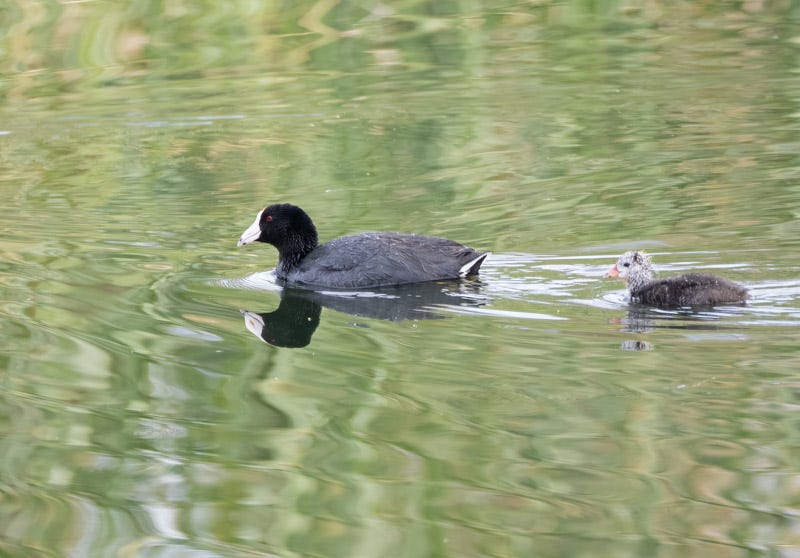 20250527-Sewailo-109-Edit.jpg 20250527-Sewailo-109-Edit.jpg