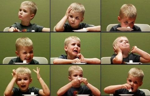 Marshmallow Test and Parenting — Le test du chamallow était censé mesurer  la tolérence à la frustration ; en fait, il mesure seulement la confiance  dans l'adulte. : r/ParentingFR