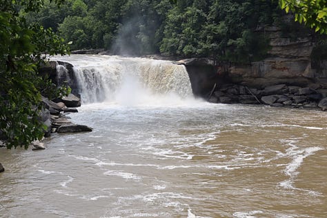 L to R a big waterfall, a rock cliff with a small waterfall, a Canada goose in a muddy river