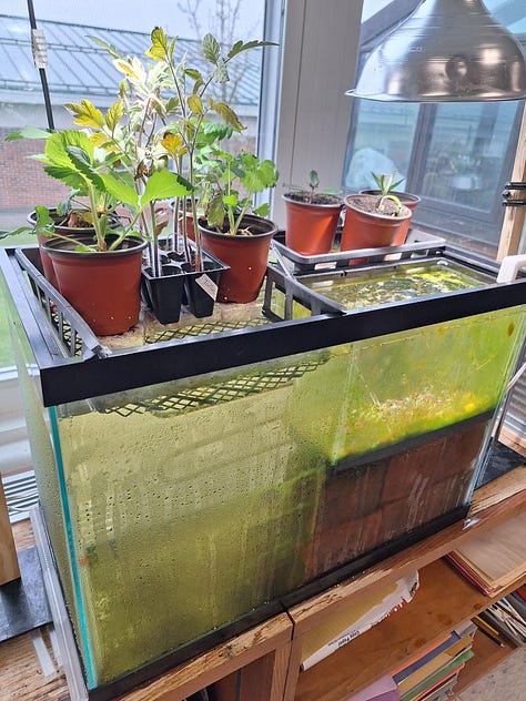 maine school garden network conference