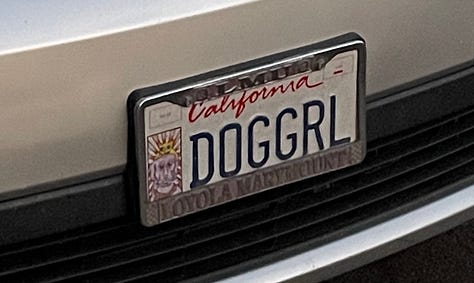 License plates reading DOGGRL, EX TESLA, SXYNURS, 2HENTAI, FEMD❤️M, and DZOOGOO