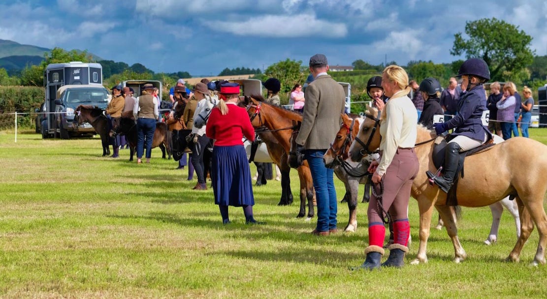 NEWSFLASH: Change of venue for Saintfield Horse Show