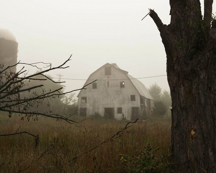 This may contain: an old barn sits in the middle of a foggy field next to a tree