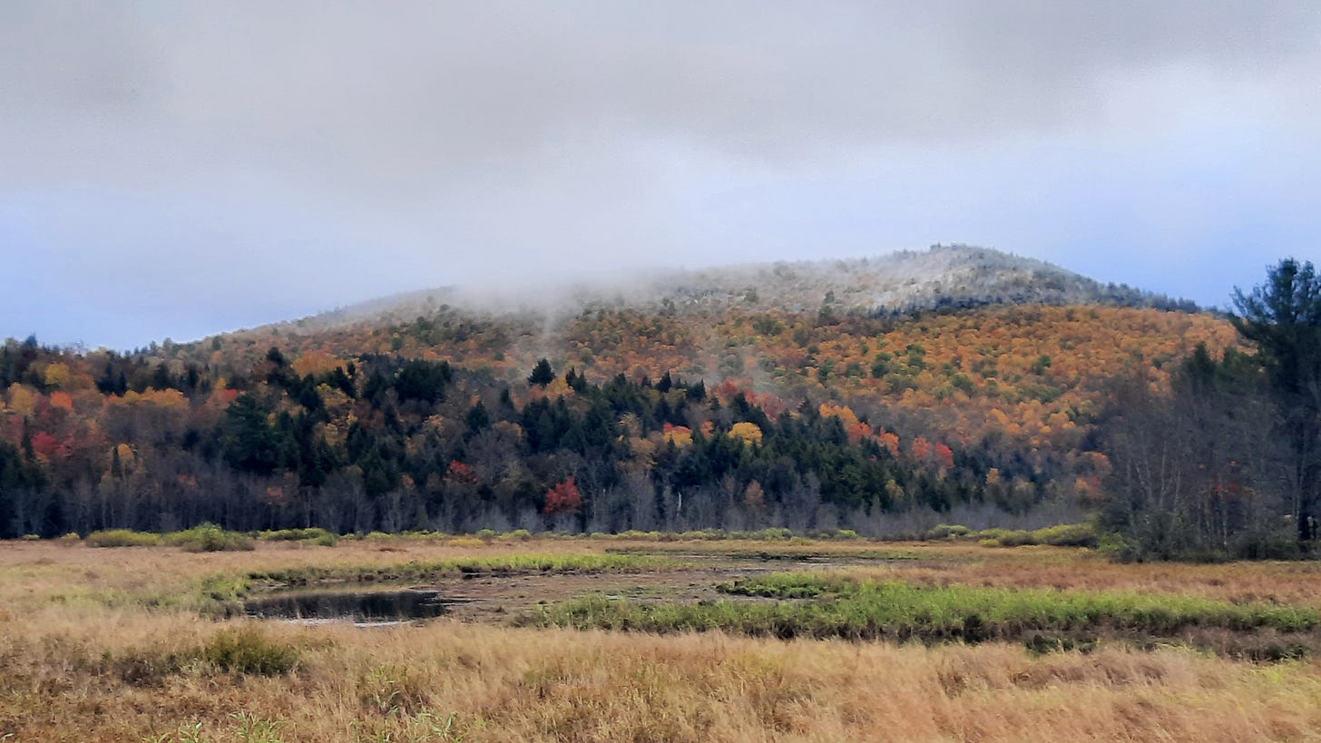 A mountain with fall foliage near the bottom and snow visible near the top